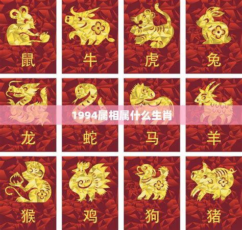 1994年屬|1994年属什么生肖配对 1994年和什么属相最配